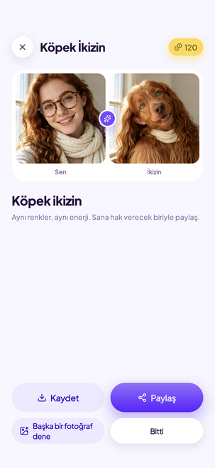 Köpek ikizini bul